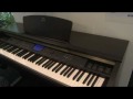 YDP V240