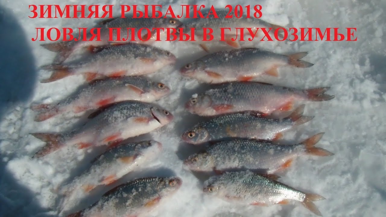 Зимняя рыбалка кириково плотва Зимняя рыбалка кириково плотва