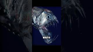 Viper Fish Scary Ocean