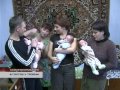 Video В Севастополе родились тройняшки!!!