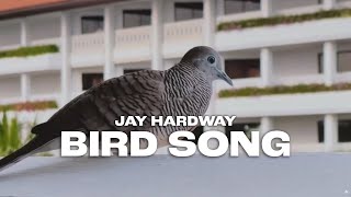 Jay Hardway - Bird Song