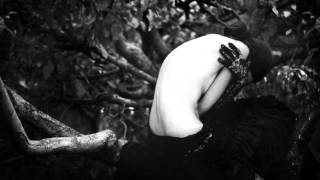 Watch Falling Leaves Memories Will Never Fade video
