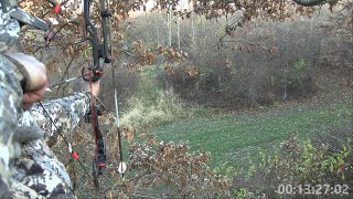 November 12th Hunt - Buck Moves 3 Yards in 13 Minutes