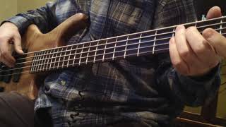 Roscoe Skb Standard Plus 5 String B - Las Olas