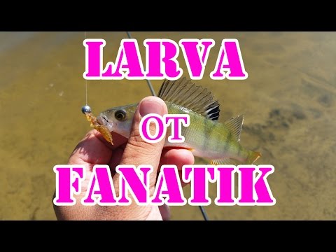 ролики ловля окуня ролики ловля окуня