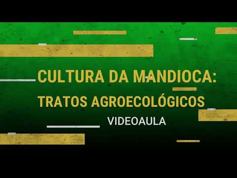 ATER A DISTÂNCIA_Cultura da Mandioca_Tratos Agroecológicos