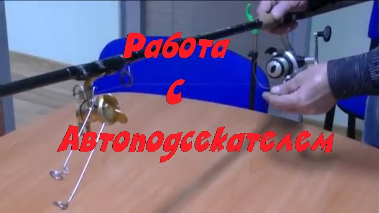 Куклы лягушки своими руками фото Куклы лягушки своими руками фото