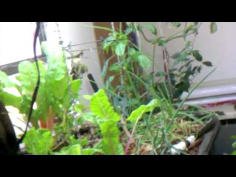 DIY Tank Heater Bob From Fiberinspector Channel Here On Lives On The Other Side Of Town From Me He Help Me Build A New Tank Heater For My...