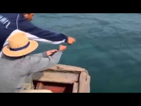 Màn câu cá biển khủng nhất Việt Nam, Fishing Video