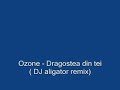 Ozone - Dragostea din tei (DJ aligator remix)