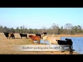 Georgia land auctions will be