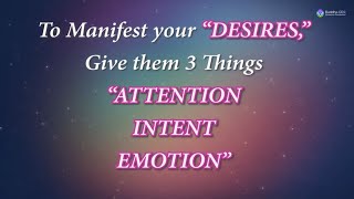 Manifest miracles with meditation| Manifestation experiences of participants| Manifest your life