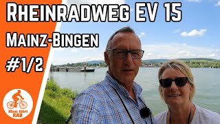 Viel Verkehr Auf Dem Rheinradweg Eurovelo 15 Mainz - Bingen
