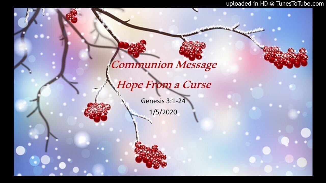 Hope From a Curse Gen. 3:1-24 1/5/20