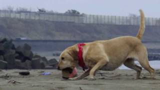 Watch Keith Whitley Lucky Dog video