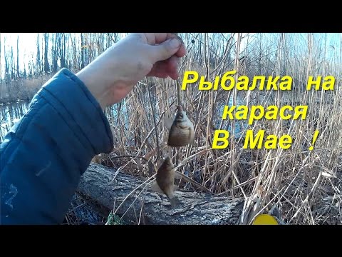 час потраченный на рыбалке час потраченный на рыбалке