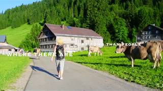 Best Käsespätzle In Vorarlberg Jagdgasthaus Egender Inn