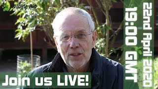 Wildlife Aid goes LIVE! Centre update and get your questions answered!