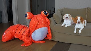 Dogs vs Giant Shrimp Prank! Funny Dogs Maymo & Potpie