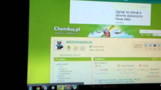 jak ściągnąć filmy za darmo z torrent.org bez rejjestracj