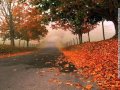 أجمل شعر للطبيعة ajmal chi3er litabi3a