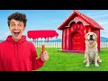 One Colored Dog House Challenge!