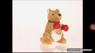 Baby Noah Boxing Kangaroo
