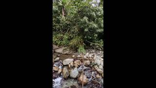 A Unique Bridge Exploring Tuting, Arunachal Pradesh