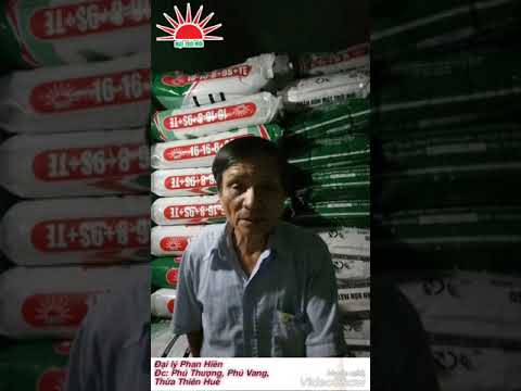 Ý kiến Đại lý về phân bón Mặt Trời Mới