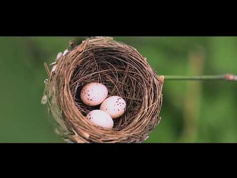 সন্তান হারানো মা বাবা !! আরিফ আহমেদ ।। চলচ্চিত্র নির্মাতা ।। হোসেন সোহেল