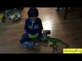 dinosaur