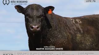 LOTE 76 - TOUROS ANGUS - LEILÃO VIRTUAL SÃO BIBIANO 2020
