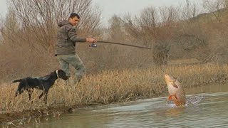 Olta ile büyük balık avı. Balığın vuruş anı yakın çekim. Köpeğim raki ile sabah 