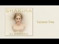 Video Coconut Tree Shakira