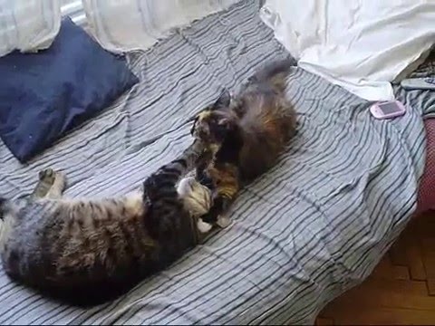 я помню белые обои черная посуда фильм