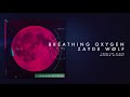 Breathing Oxygen Video preview