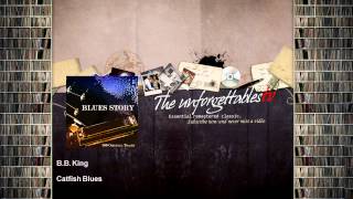 Watch Bb King Catfish Blues video