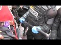 Riot Police Supress Occupy Portland Protestors With Brutal Force II
