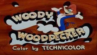 Char Woody Woodpecker Pica-Pau By O Ilusionista