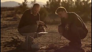 The Abcs Of Death 2012 - Duck In The Cage , Left To Watch The Strange Scene