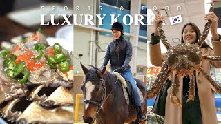 PERTAMA KALI HORSERIDING EXPERIENCE DI KOREA 🏇 + SEAFOOD MUKBANG DAY 🦀!! | AMELI