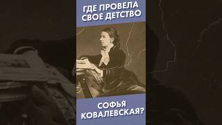 Где Провела Свое Детство Софья Ковалевская? #Shorts #Ковалевская