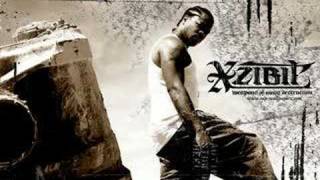 Watch Xzibit Fight The Power video