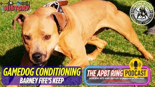Barney Fifes Keep - The Clic Apbt Gamedog Conditioning Program
