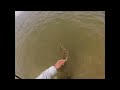 SHORE FISHING