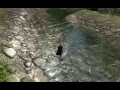 The Lord of the Rings Online Gameplay - DirectX 11 Water HD