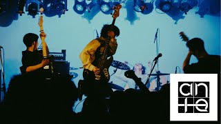 Ante - Cultural Kidding Official Live Video
