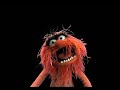 Muppets Online Animal And Bunny Muppets Online Animal And Bunny