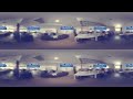 How Animals See The World (360° Video)