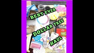 One Of My Best Dollar Tree Hauls Ever